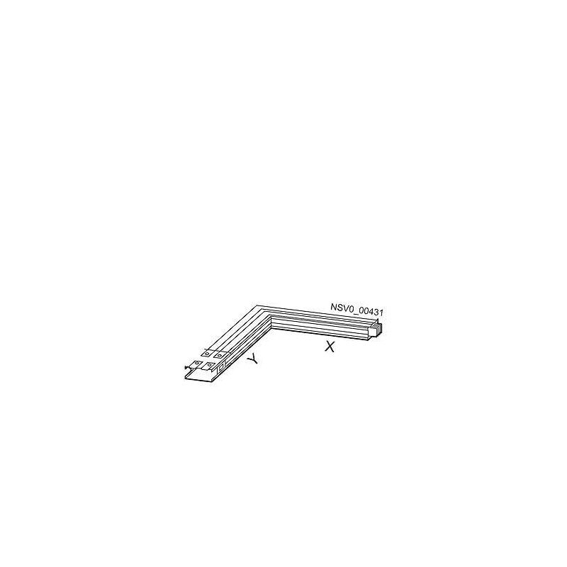 BVP:261856